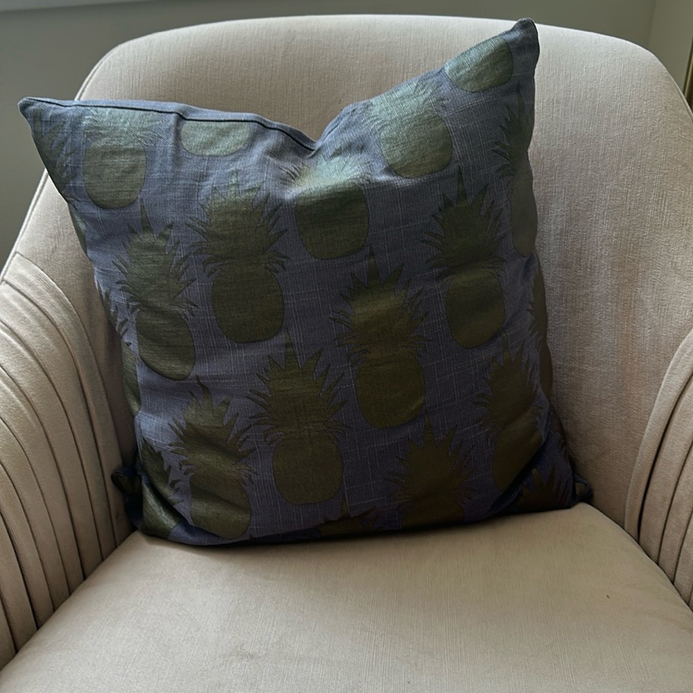CB2 throw pillow 18x18”